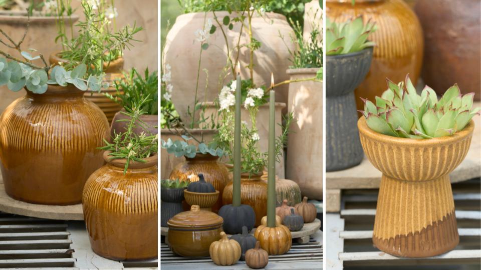 Welcome Autumn