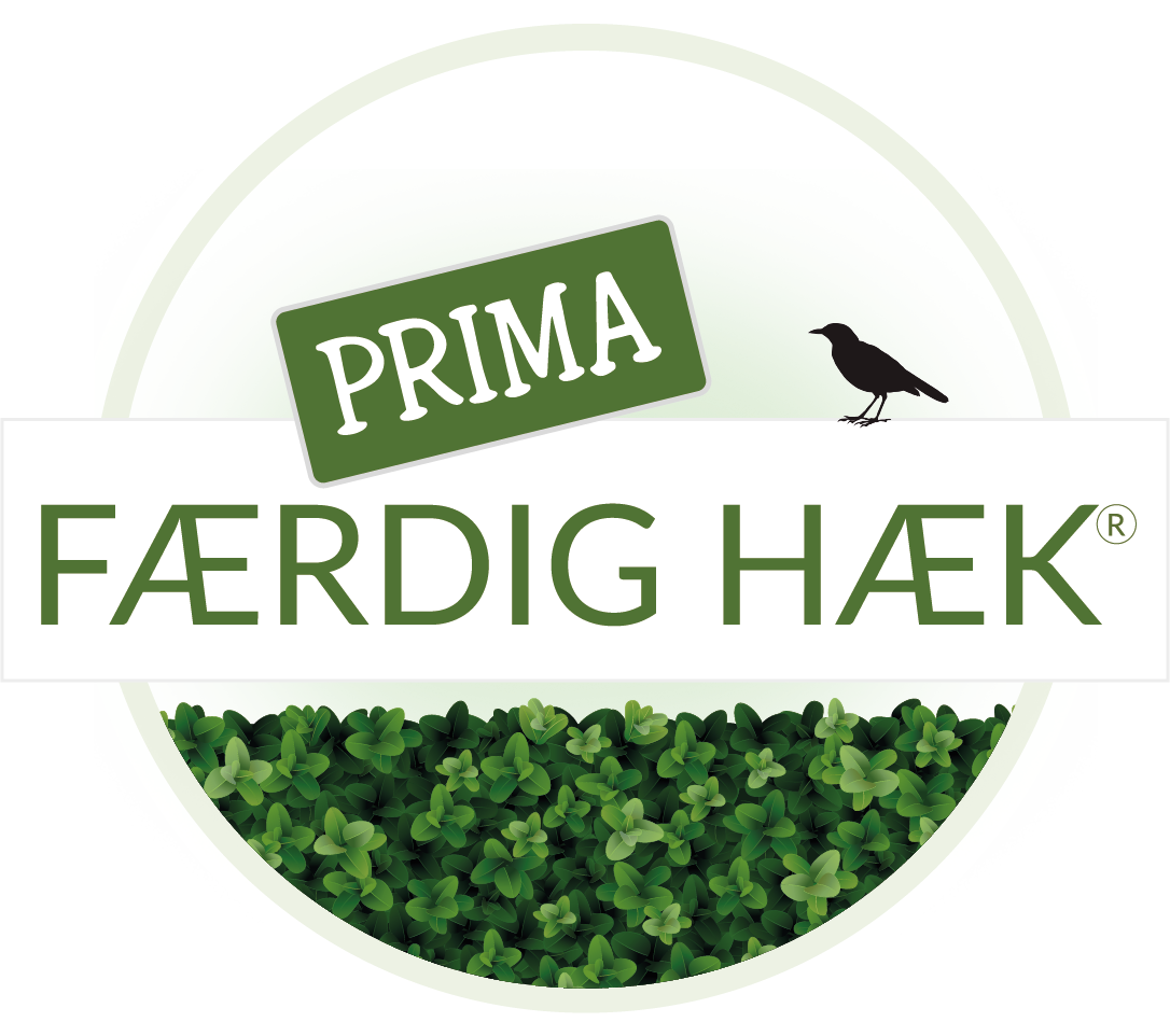 Prima Færdig Hæk Møllegårdens Planteskole