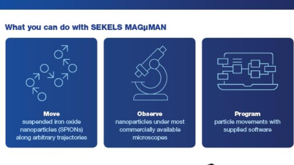 SEKELS MAGμMAN