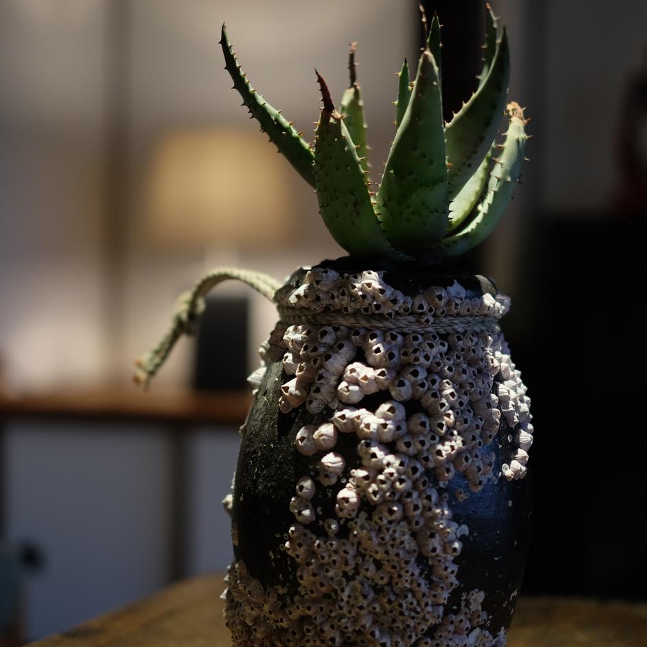 salvaged pottery octopus pot from japanese sea