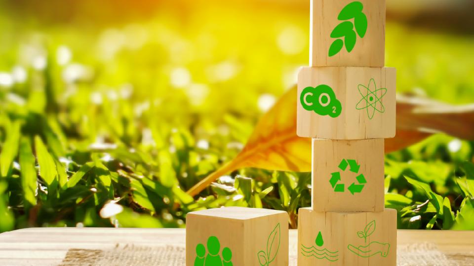 SOBY works on a greener business model