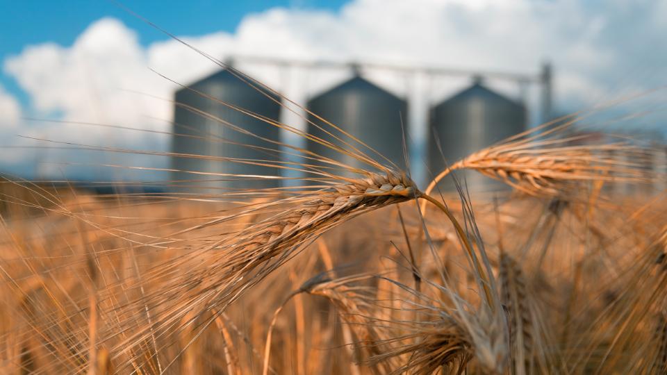 Meet statutory energy requirements with the right fan technology